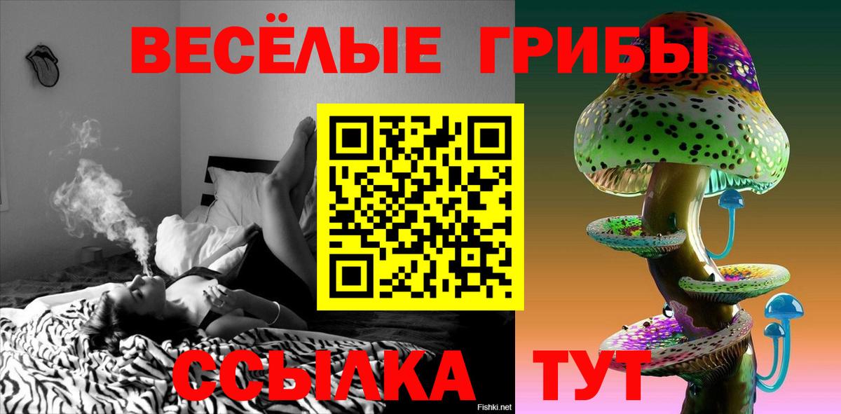 Псилоцибиновые грибы Magic Shrooms Губкинский