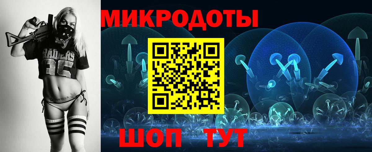Псилоцибиновые грибы Cubensis  цена наркотик  Губкинский  Вход с VPN 