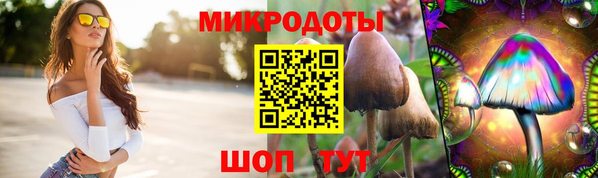 Губкинский  Кокаин  Вход с VPN  НБОМе  Мефедрон кристаллы  Бошки Шишки  ГАШ  Меф  Кокаин 