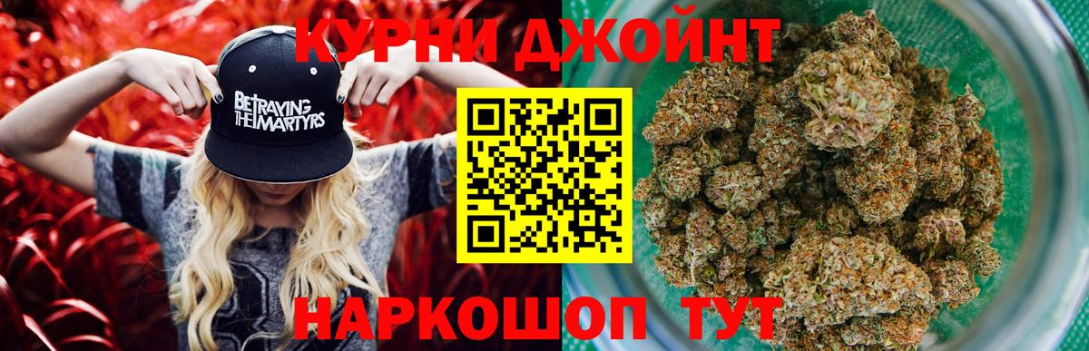 Бошки Шишки сатива  Вход с VPN  Канабис OG Kush  Марихуана VHQ  Губкинский 